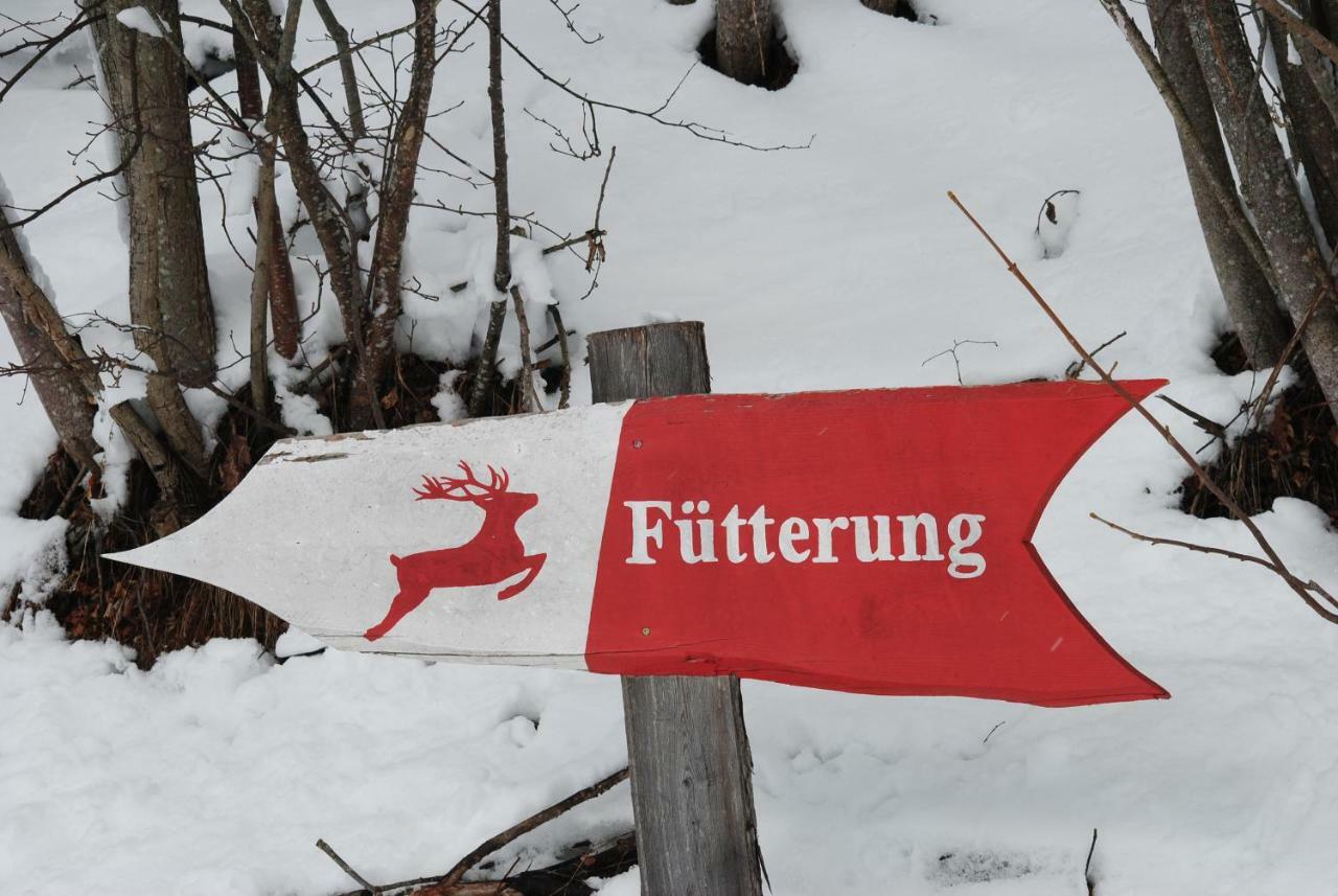 Ferienhaus Gstoderblick Seebach  Exterior foto